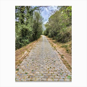 Cobblestone Road In The Forest 2023042312261pub Canvas Print