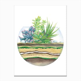 A Little Green Terrarium Canvas Print