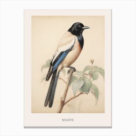 Vintage Bird Drawing Magpie 3 Poster Canvas Print