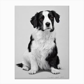 Welsh Springer Spaniel B&W Pencil dog Canvas Print