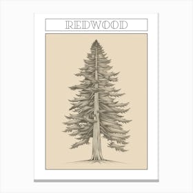 Redwood Tree Minimalistic Drawing 1 Poster Canvas Print