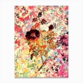 Impressionist Ventenat's Rose Botanical Painting in Blush Pink and Gold Canvas Print