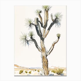 Joshua Tree In Desert Minimilist Watercolour  (4) Canvas Print