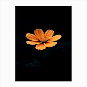 Orange Flower 20 Canvas Print