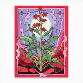Pink And Red Plant Illustration Spiderwort 2 Canvas Print