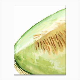 Honeydew Melon Close Up Illustration 4 Canvas Print