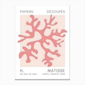 H Matisse 46 Canvas Print