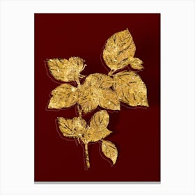 Vintage Carolina Allspice Flower Botanical in Gold on Red n.0458 Canvas Print