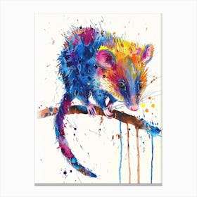 Opossum Colourful Watercolour 1 Canvas Print