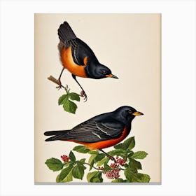 Blackbird James Audubon Vintage Style Bird Canvas Print