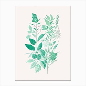Mint Spices And Herbs Minimal Line Drawing 3 Canvas Print