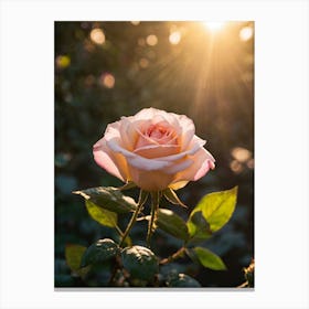 Pink Rose In The Sun Canvas Print