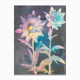 Iridescent Flower Edelweiss 3 Canvas Print