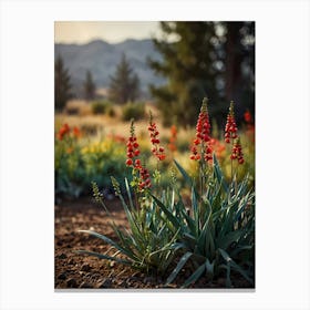 Wildflowers 2 Canvas Print