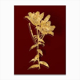 Vintage Orange Bulbous Lily Botanical in Gold on Red Canvas Print