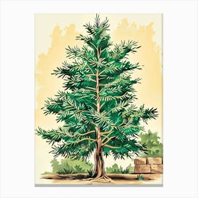 Cedar Tree Storybook Illustration 3 Canvas Print