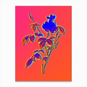 Neon White Bengal Rose Botanical in Hot Pink and Electric Blue n.0615 Canvas Print