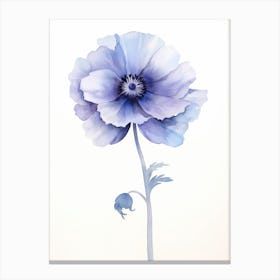 Blue Poppy 1 Canvas Print