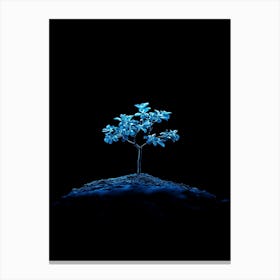 Tree On A Black Background 3 Canvas Print