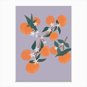 Oranges Purple Canvas Print