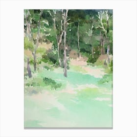 Amboró National Park Bolivia Water Colour Poster Canvas Print