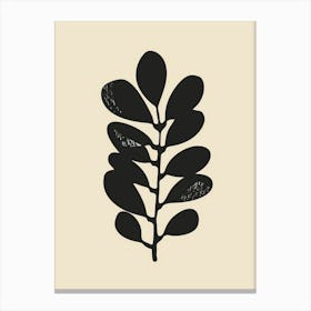 Eucalyptus Leaf 4 Canvas Print