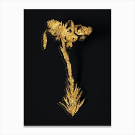 Vintage Lily Botanical in Gold on Black n.0603 Canvas Print