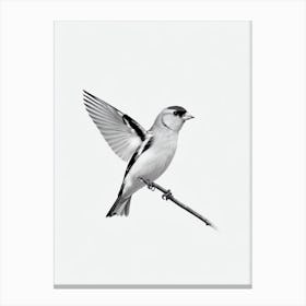 American Goldfinch B&W Pencil Drawing 1 Bird Canvas Print