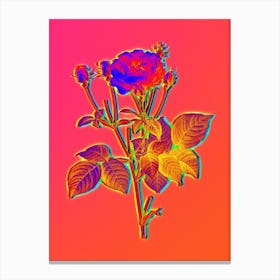 Neon Pink French Roses Botanical in Hot Pink and Electric Blue n.0421 Canvas Print