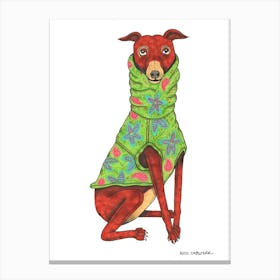 Dog In A Jumper Canvas Print