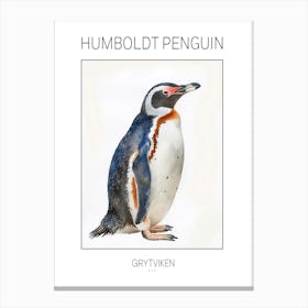 Humboldt Penguin Grytviken Watercolour Painting 1 Poster Canvas Print