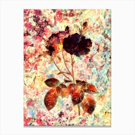 Impressionist Damask Rose Botanical Painting in Blush Pink and Gold n.0043 Canvas Print