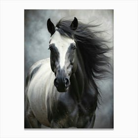 Black And White Horse Canvas Print