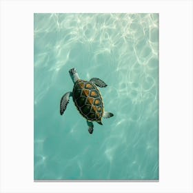 Sea Turtle Swimming 3 Canvas Print
