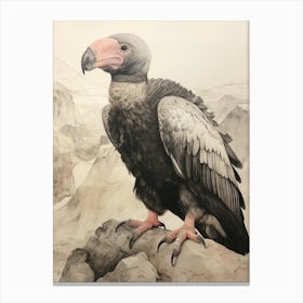 Vintage Bird Drawing California Condor 3 Canvas Print