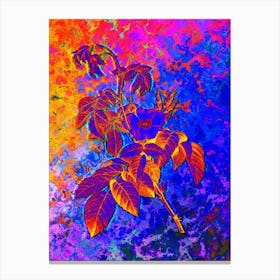 Apple Rose Botanical in Acid Neon Pink Green and Blue n.0153 Canvas Print