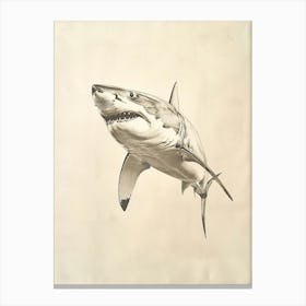 Great White Shark Vintage Illustration 2 Canvas Print