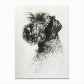 Wirehaired Pointing Griffon Dog Charcoal Line 1 Canvas Print