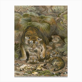 Vintage Brehm 1 Tiger Canvas Print