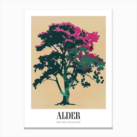 Alder Tree Colourful Illustration 2 Poster Canvas Print