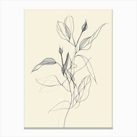 Drawing Of A Flower 1 Canvas Print