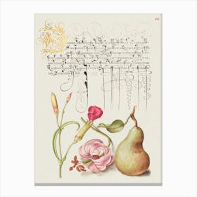 Carnation, Martagon Lily, And Pear From Mira Calligraphiae Monumenta, Joris Hoefnagel Canvas Print