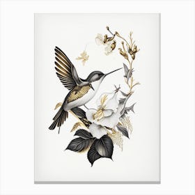 Hummingbird Surrounded By Flowers Vintage Gold & Black Canvas Print