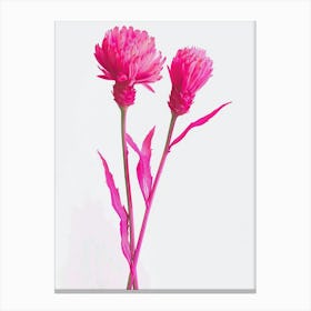 Hot Pink Celosia Canvas Print