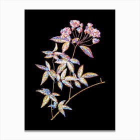 Stained Glass Lady Bank's Rose Mosaic Botanical Illustration on Black n.0352 Canvas Print