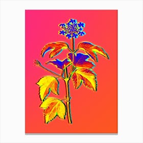 Neon Guelder Rose Botanical in Hot Pink and Electric Blue Canvas Print
