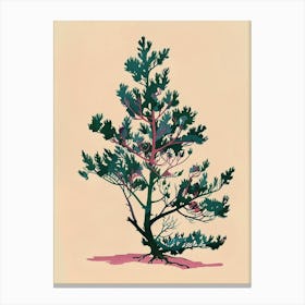 Juniper Tree Colourful Illustration 3 Canvas Print