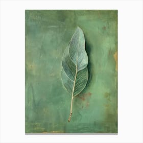 Eucalyptus Leaf Canvas Print