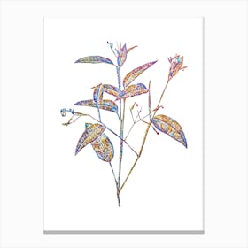 Stained Glass Maranta Arundinacea Mosaic Botanical Illustration on White n.0174 Canvas Print