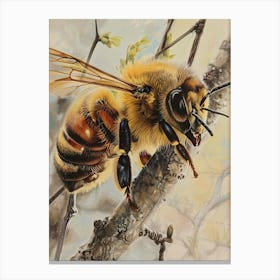 Honey Bee Pastel Watercolour 4 Canvas Print